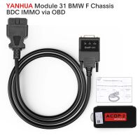 Yanhua Mini ACDP ACDP-2 Module31 com licença A501 para BMW F chasis BDC chave programação e quilometragem redefinir via OBD